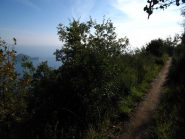 Sul sentiero dell'onda