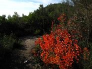 Colori e segnaletica