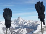 Viso tra i guanti