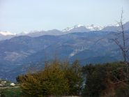 Gruppo del Gelas  dalla Cime de La Forna