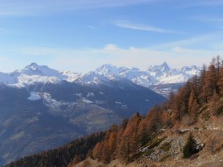 05 - dal Mont Fallere alle Grandes Jorasses