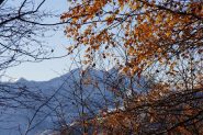 verso la Cialma