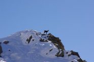 verso la vetta