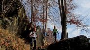Discesa nel bosco