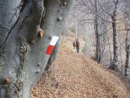 nel bosco