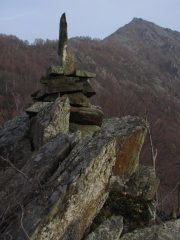 arbella dal deiro nero