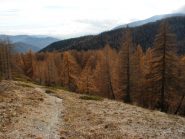 autunno avanzato