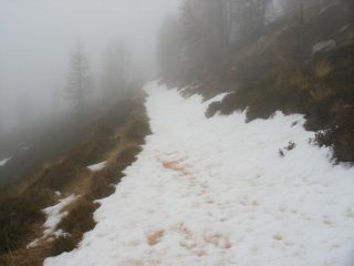 nebbia in cresta