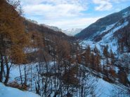 Colori da tardo autunno