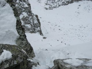 dalla punta