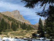 usciti dal bosco verso f.lla Valmaggiore