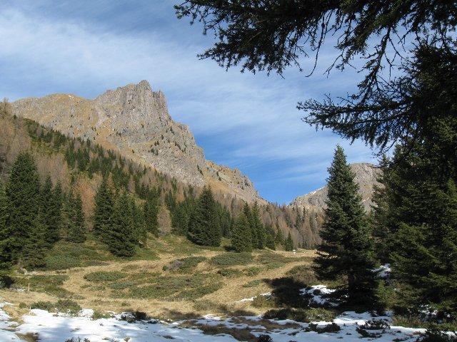 usciti dal bosco verso f.lla Valmaggiore