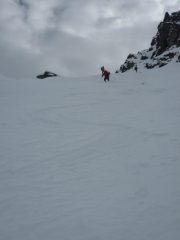 farina di alta qualità