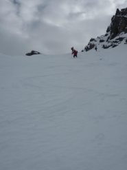 farina di alta qualità