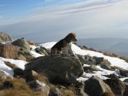 Flick, già arrivato in vetta, mi sta aspettando