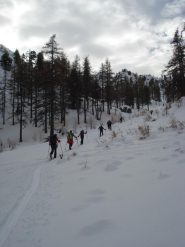 salendo nella Valle dei Mandarini