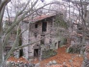 Borgata Curlo