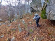 si sale verso quota 1535m