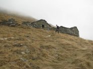 Alpe Force