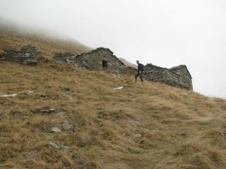 Alpe Force