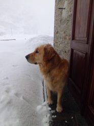 Un po' all'asciutto !