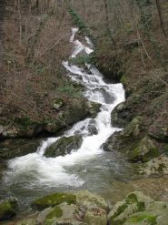 Oggi il Rio Cenaie o Madone, é bello gonfio!