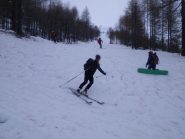 parte bassa nel bosco