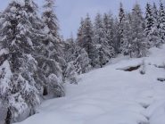 tanta neve