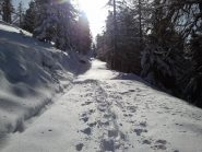 parte bassa sulla strada