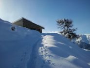 arrivo all'ultima stalla 