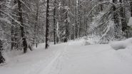 Innnevamento poco sopra la partenza....