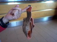 un modo corretto per ritirare le pelli, non facciamo nomi.