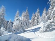 alberi carichi