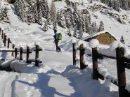 Alpe Cort