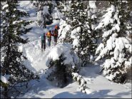 tra gli alberi carichi di neve