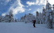 Salita nel bosco