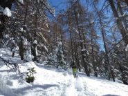 2° risalita nel bosco 