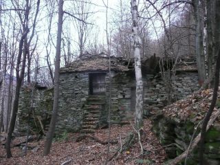 Campes