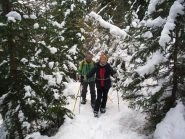 nel bosco incantevole....