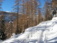 ottima traccia e la Missun in alto a sx