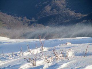 Creste di vento