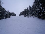 la parte intermedia sulla pista non lavorata ,con bella neve  fresca ed asciutta...