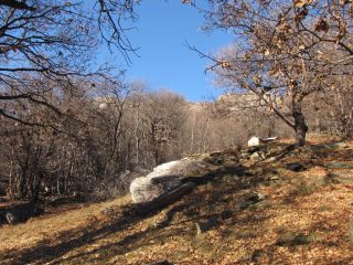 monte bracco
