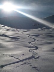 CURVETTE NEL PARTE CENTRALE