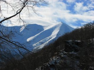 panorama