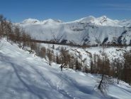 Fuori dal bosco