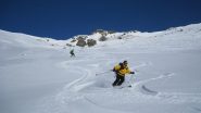 il topo in azione