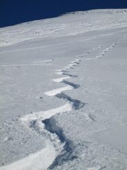 firme nella powder...spettacolo!!!