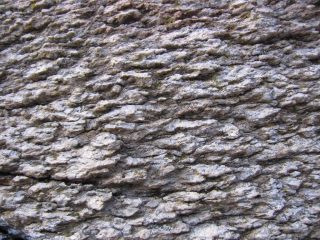 bell roccia