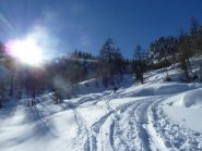 Nel vallone del Ciaval